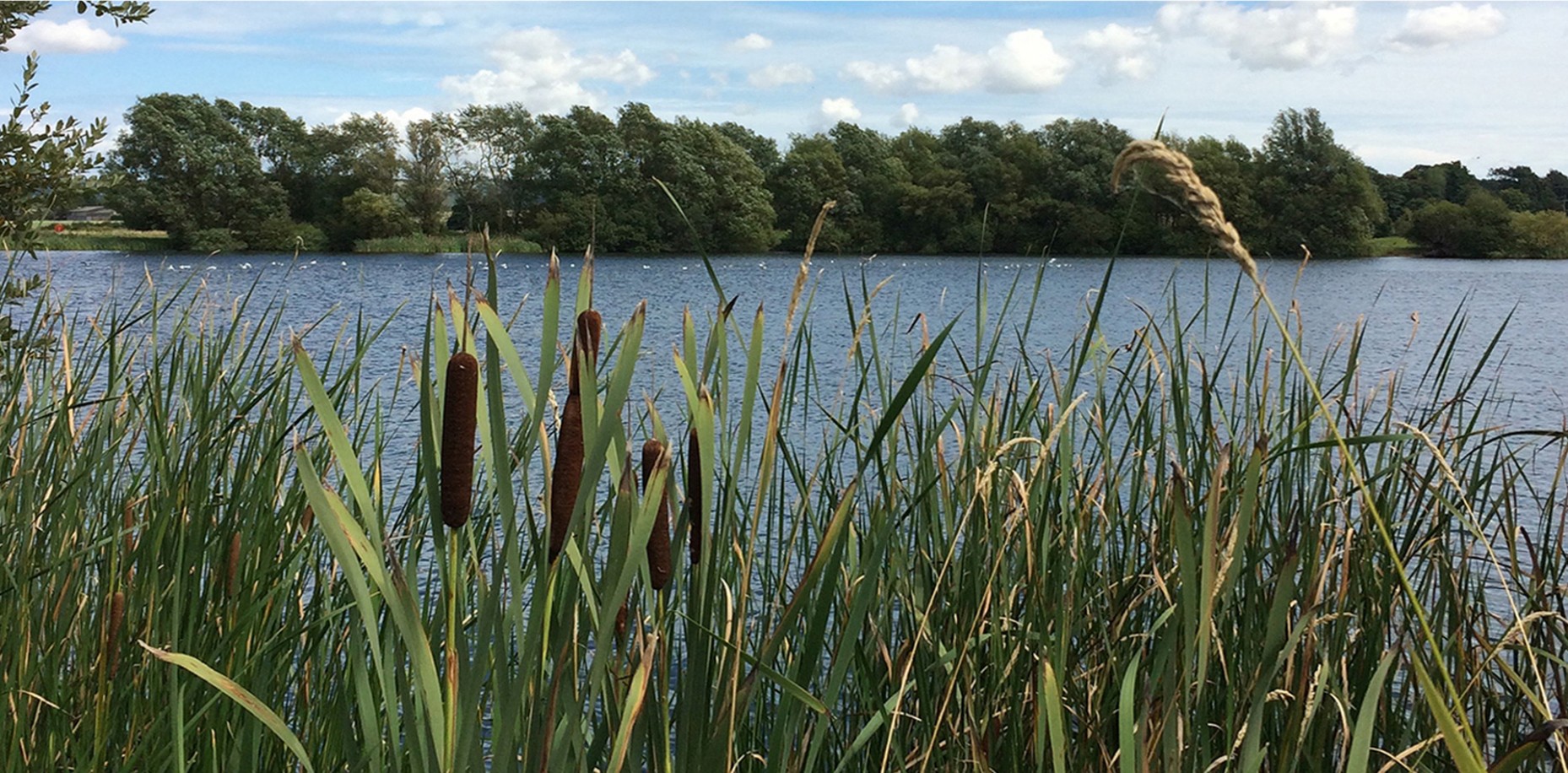 Wildlife And Leisure Themes For Public Art At Conningbrook Lakes